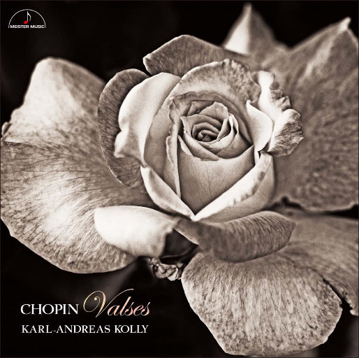 黄色午夜小黄片导航
